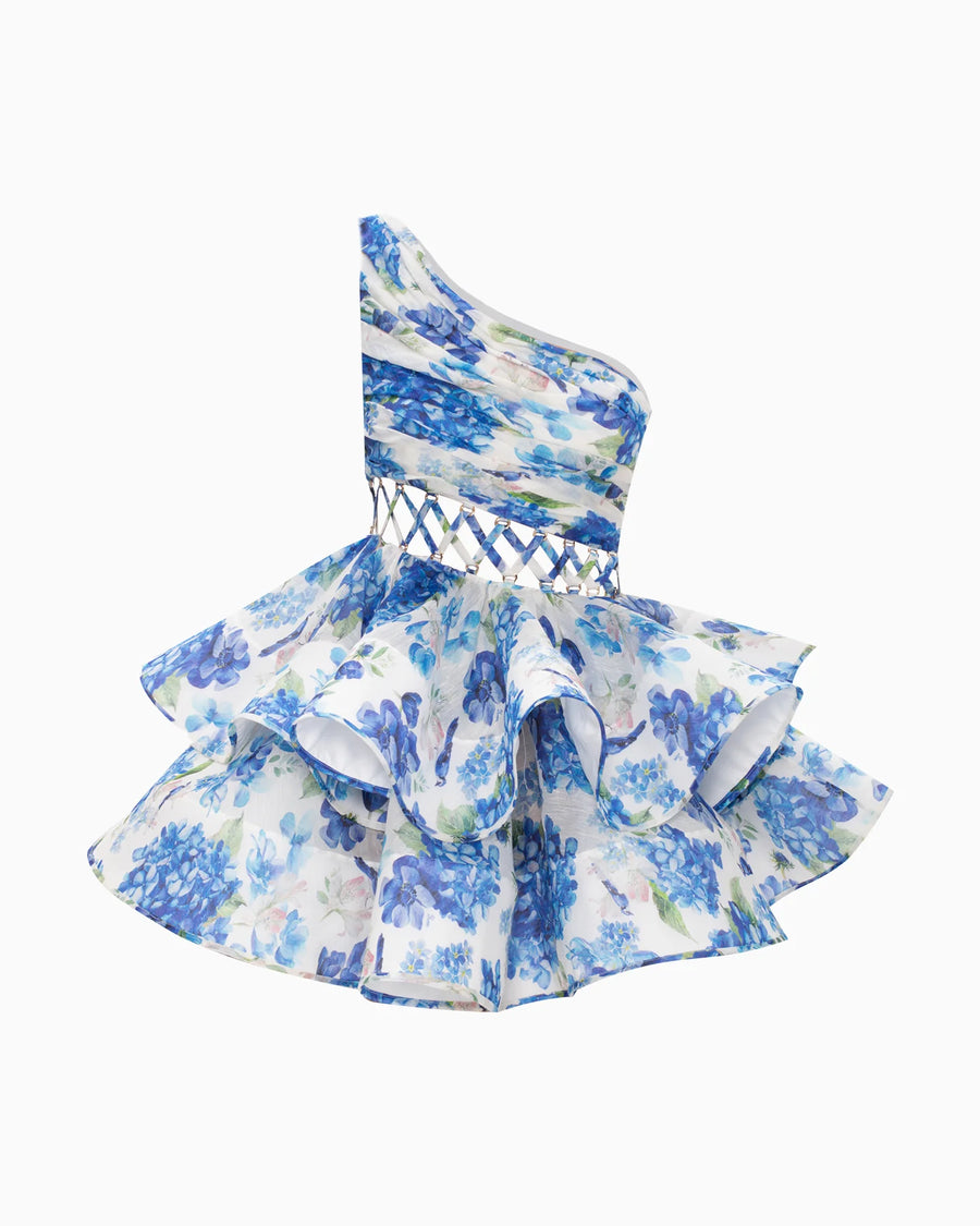 ANYA Pleated Maxi Dress