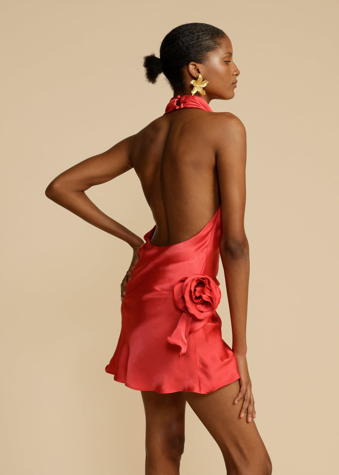 ROSA DRESS