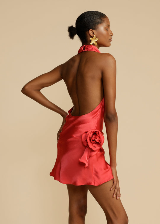 ROSA DRESS