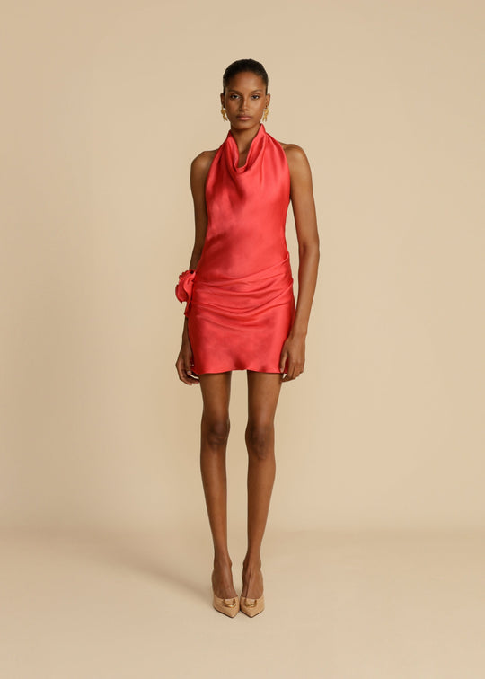 ROSA DRESS