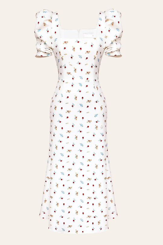 BIPA Dress