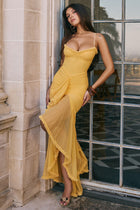 ANMA Backless Maxi Dress
